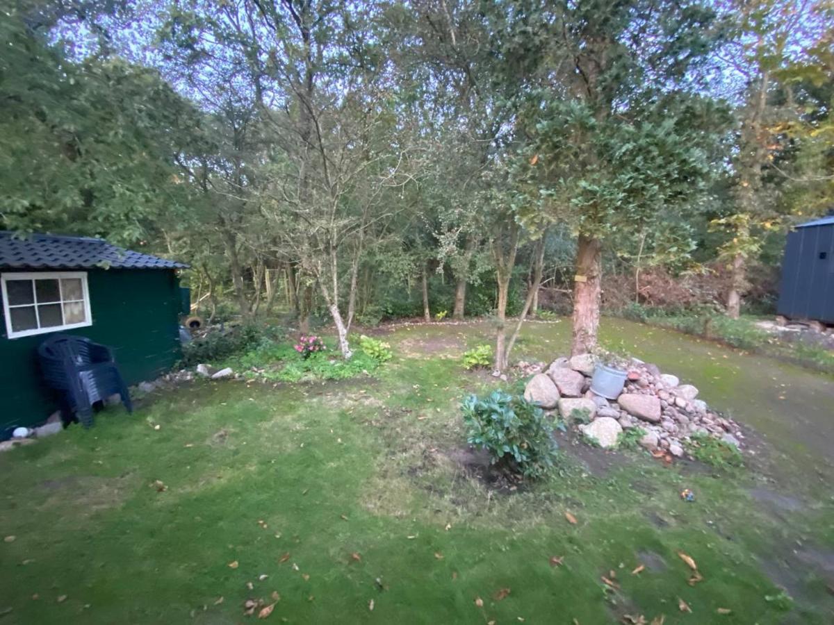 Chalet With Access To The Woods - No 147 Anloo Exterior photo